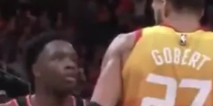 发生冲突！戈贝尔与阿奴诺比差点打起来