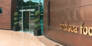 切尔西飞翼确诊感染新型肺炎 现已隔离