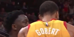 戈贝尔曾与阿努诺比发生冲突 贴脸对喷