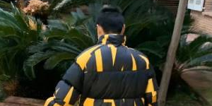 武磊：跟妻子的疫情正在每天好转 训练也已经恢复