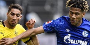 托迪博的标价是多少？托迪博会去哪里？