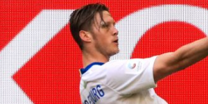 维格霍斯特多少钱？维格霍斯特的价格是多少？