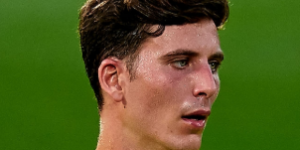 巴萨正关注托雷斯 但比利亚可能不会出售