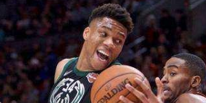 雄鹿有几个总冠军？雄鹿总冠军的次数是多少？