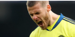 德赫亚：现在变得更成熟 一切难以相信