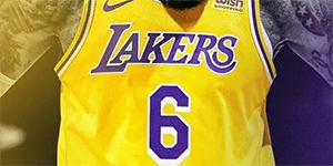 詹姆斯穿6号的原因