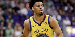 奎因·库克个人资料