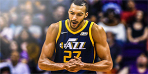 鲁迪·戈贝尔个人资料