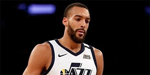 戈贝尔身高臂展