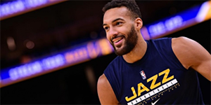 戈贝尔防守什么水平