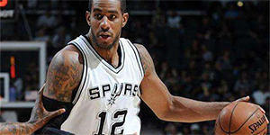 阿尔德里奇个人资料