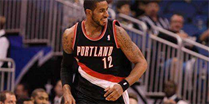 阿尔德里奇数据