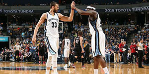 灰熊黑白双熊是什么