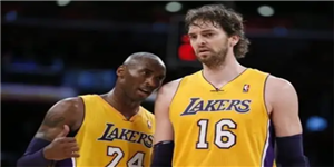 大加索尔退役了吗