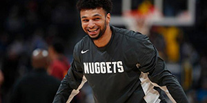 蒙特莫里斯模板一览