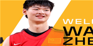 王哲林个人资料