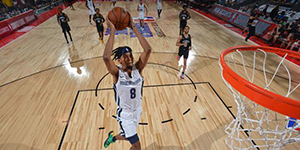 扎伊尔威廉姆斯臂展一览