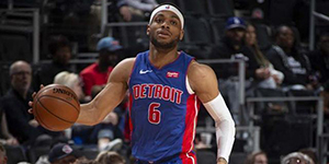 布鲁斯布朗模板一览