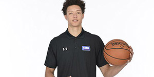 以赛亚罗比模板一览