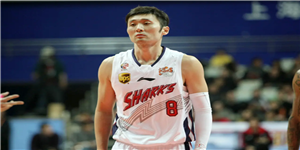 刘炜职业生涯数据