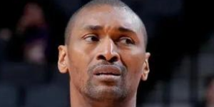 慈世平什么时候退役了