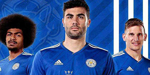 莱斯特城夺冠阵容一览