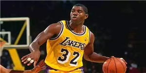 埃尔文约翰逊有几个总冠军