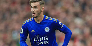 詹姆斯麦迪逊什么水平