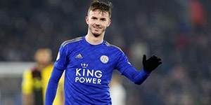 詹姆斯麦迪逊技术特点是什么