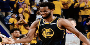 维金斯个人资料