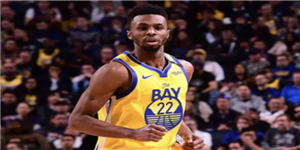 维金斯技术特点