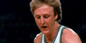 伯德打了多少年