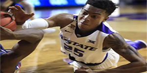 韦斯利·艾旺杜个人介绍