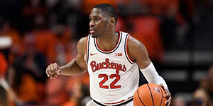 马拉基布兰纳姆模板是谁