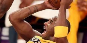 2010年的nba总冠军是谁