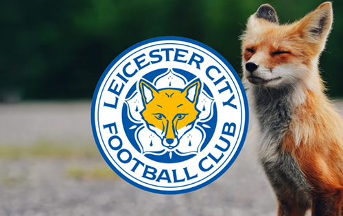 狐狸城为什么叫狐狸城