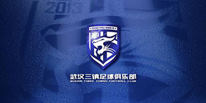 武汉三镇足球队队员名单
