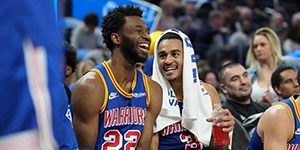 维金斯常数什么意思