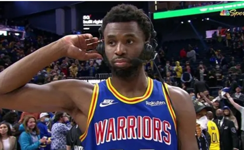 金州数学家维金斯什么梗