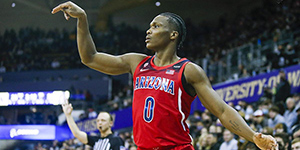 马图林模板是谁