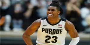 贾登·艾维球探报告