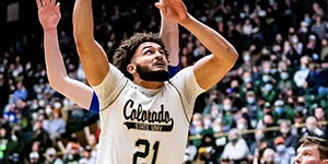 大卫罗迪模板是谁