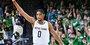 布雷克韦斯利模板是谁