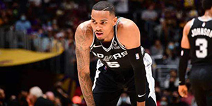 德章泰穆雷技术特点是什么