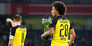 维特塞尔什么水平