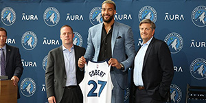 2022戈贝尔在哪个队