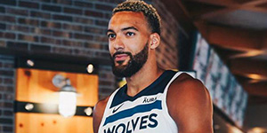 戈贝尔森林狼球衣号码多少