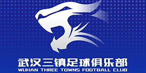 武汉三镇足球队首发名单