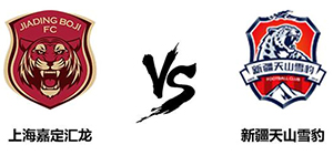 中甲第八轮：上海嘉定汇龙1:0新疆天山雪豹 嘉定赢得比赛胜利