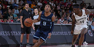 灰熊有几次总冠军